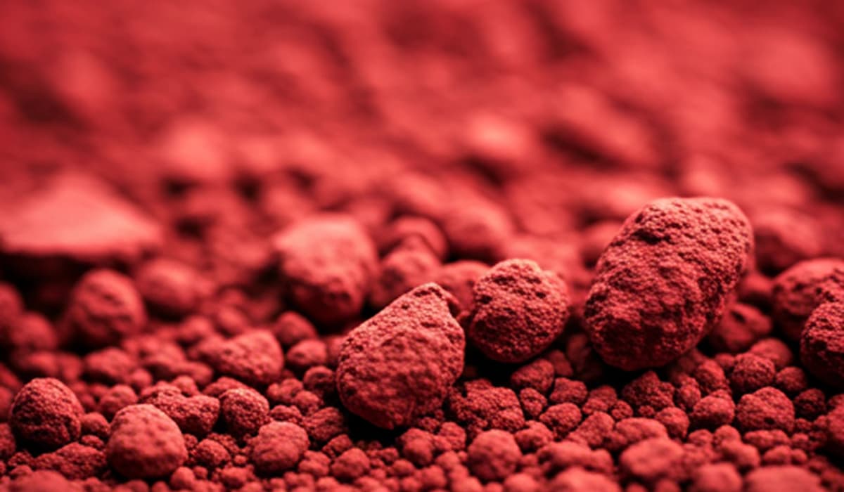 The Rise of Organic Pigments in Modern Coatings